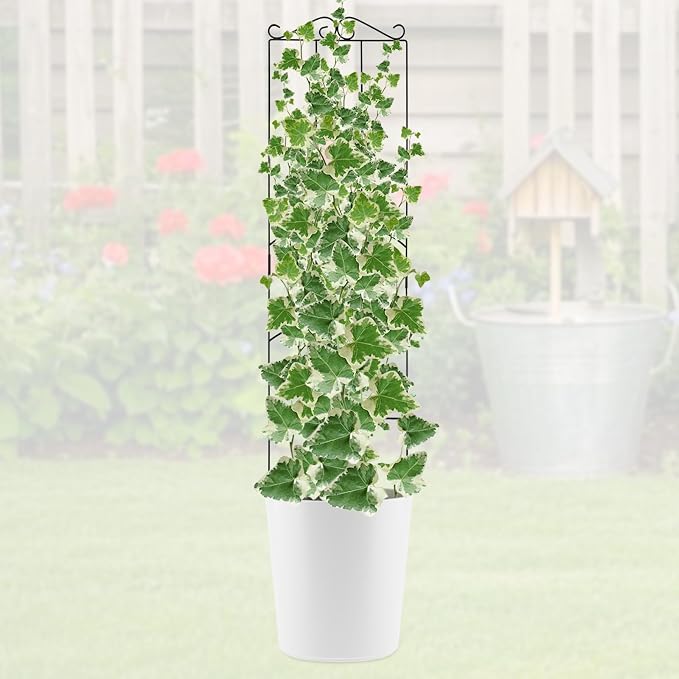 4 Pack 32'' Plant Trellis Indoor - Image 7