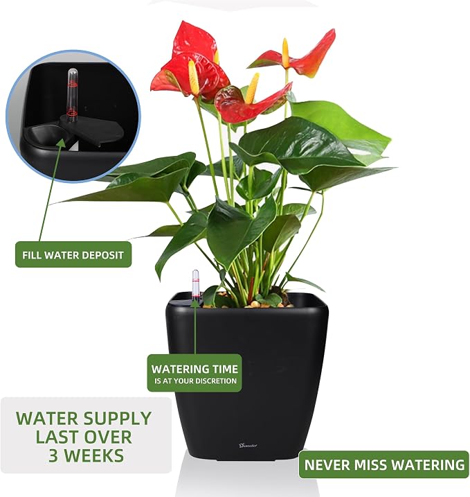 Dexceder 18x17 Self Watering Planter - Image 5