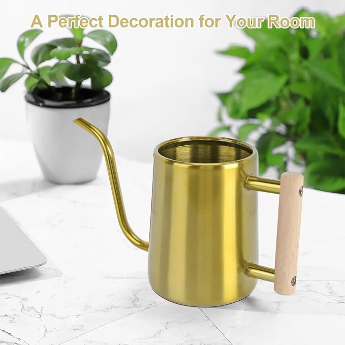 Watering Can Indoor Plants, 35 oz/1000 ml Metal Stainless Steel Watering Can Pot - Image 8