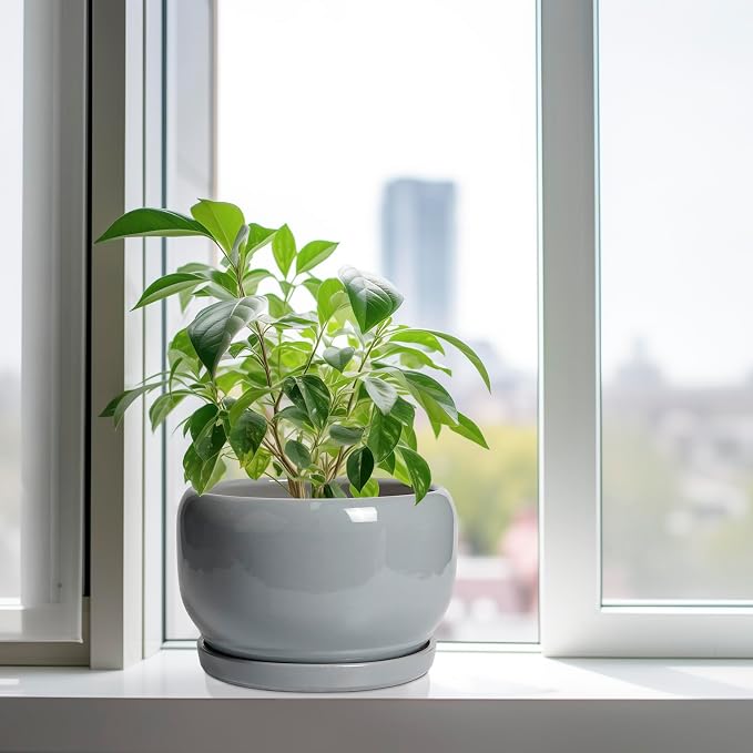 SQOWL 10 Inch Plant Pot - Image 4