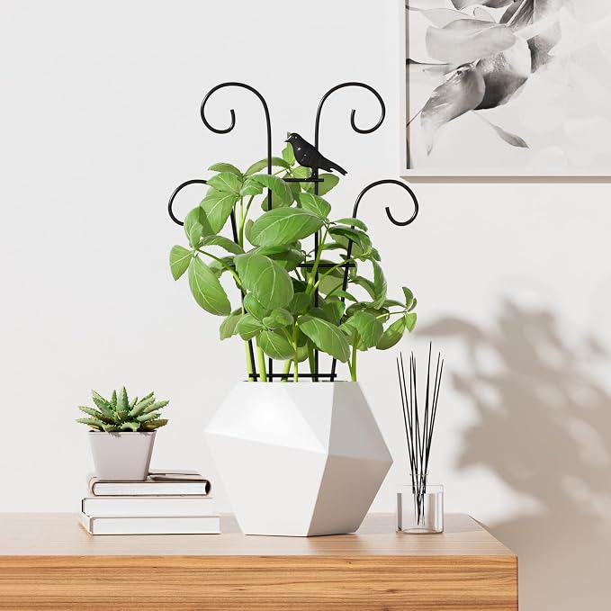 Indoor Plant Trellis for Climbing Plants, Stackable Garden Trellis for Potted - Image 8
