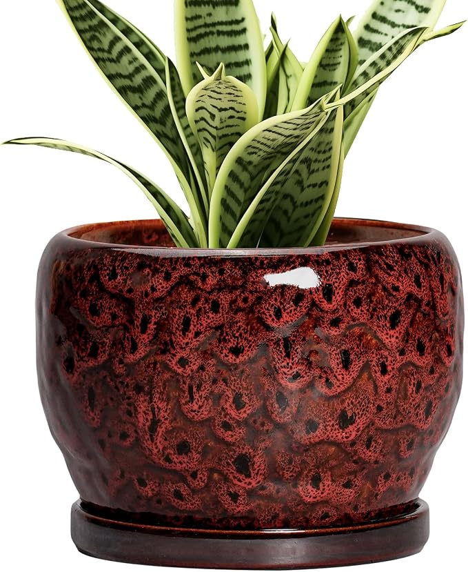 SQOWL Ceramic Pot for Plants by SQOWL