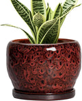SQOWL Ceramic Pot for Plants by SQOWL