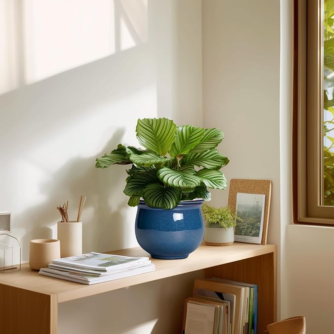 African Violet Pots, 6 Inch Ceramic Easy Self Watering Pots - Image 7