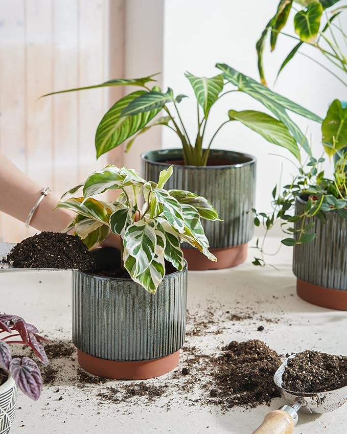 LE TAUCI Ceramic Plant Pots - Image 4