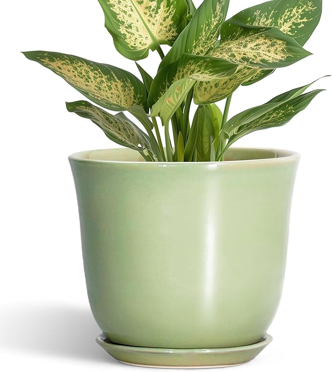 5.6 Inch Plant Pot by SUNPOTFOR