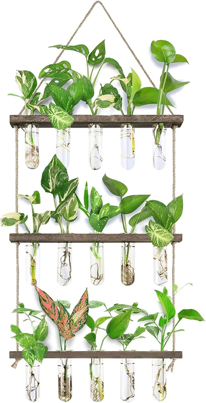 XXXFLOWER Wall Hanging Propagation Station by XXXFLOWER