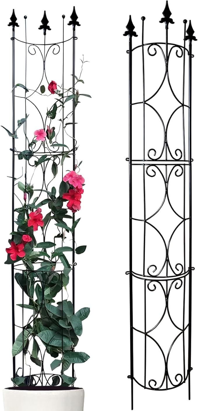 Garden Trellis 2 Pack 72'' H x 12'' W Metal Plant Trellis Indoor/Outdoor Metal by ThealynGardens