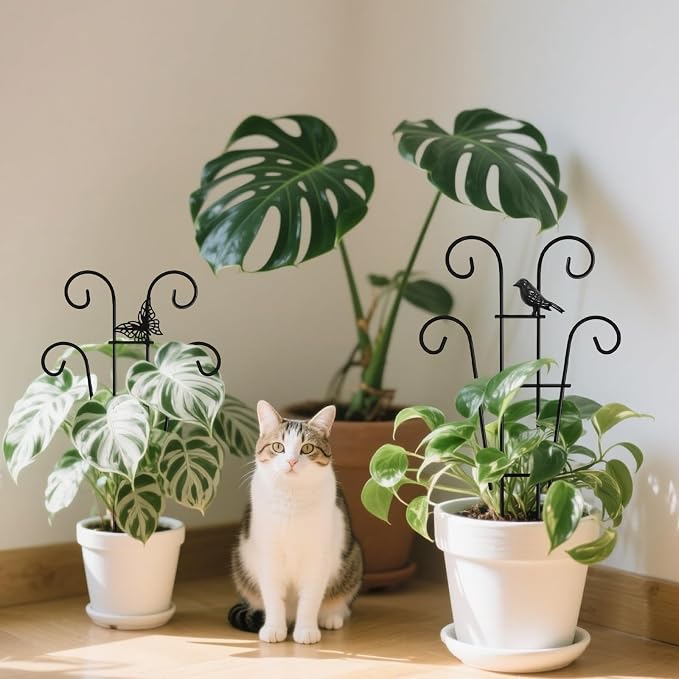 Coomin 14.5 Butterfly Indoor Plant Trellis - Image 7