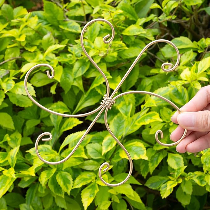 Monstera Plant Stem Support Set of 5 - Image 4
