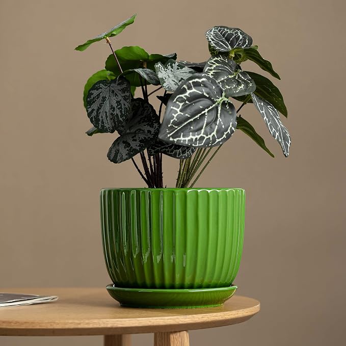 Ton Sin Ceramic Plant Pots, Indoor Planters - Image 2