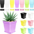 Anyumocz 70 PCS 3" Colorful Plastic Plant Pots, Plastic Square Nursery Pot by Anyumocz
