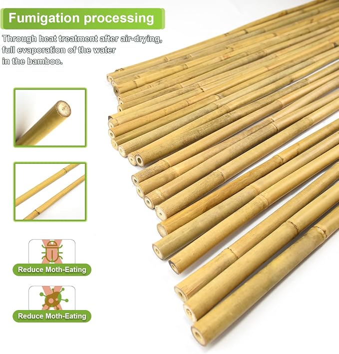 10pcs 1" D Thicker Heavy Duty Bamboo Stakes, 8FT Plant Stakes, Natural Garden - Image 3