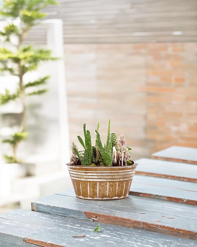 vensovo 10 Inches Brown Metal Rustic Plant Pots - Image 4