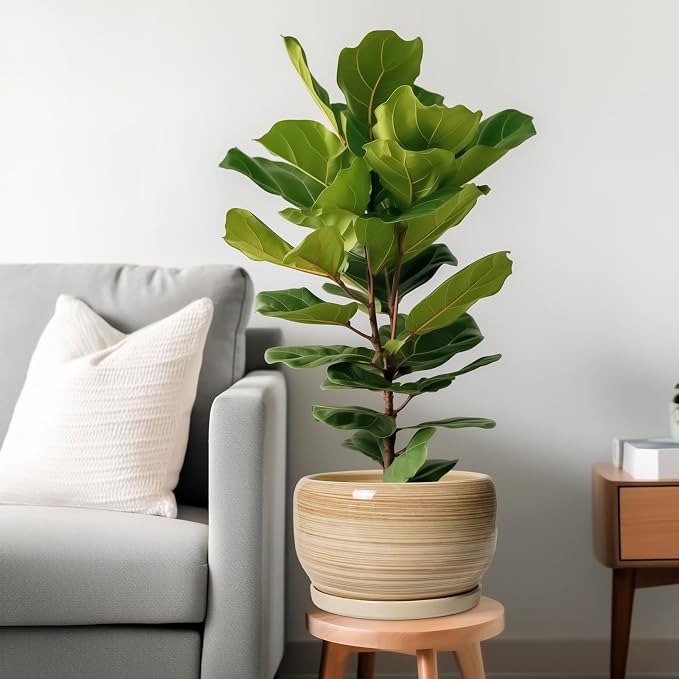 SQOWL Ceramic Plant Pot - Image 2