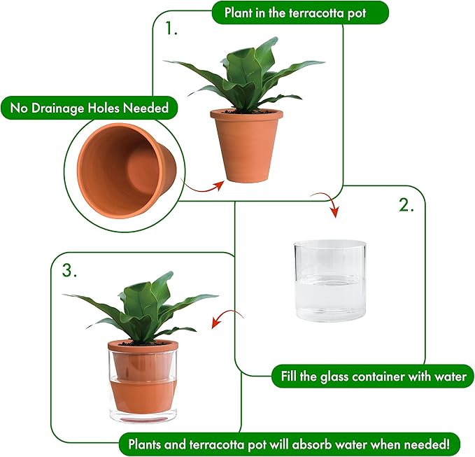 D'vine Dev 4 Inch Design Self Watering Pot - Image 4