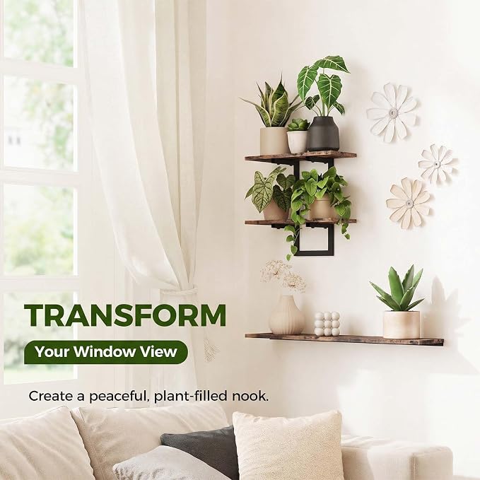 Bamworld Wall Planters for Indoor Plants Window Plant Shelves Vertical Plant - Image 4