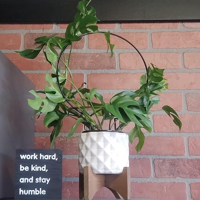 Acrux7 10 Pcs Circle Indoor Plant Trellis - Image 5