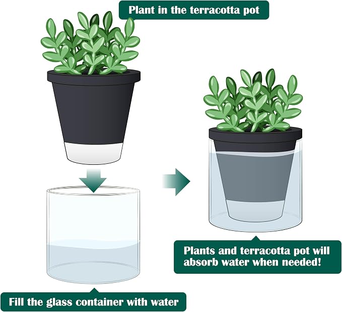 D'vine Dev 4 Inch Design Self Watering Planter - Image 5