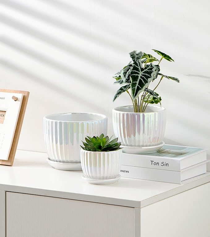 Ton Sin White Plant Pots, Pearl Gold Ceramic Flower Pots 4"+5"+6" Inch Indoor - Image 7