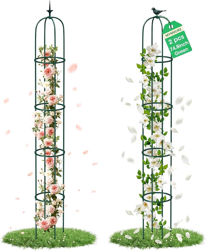 2PCS Garden Trellis for Climbing Plants, 6.2FT Rustproof Metal Pipe by MYMULIKEHOME
