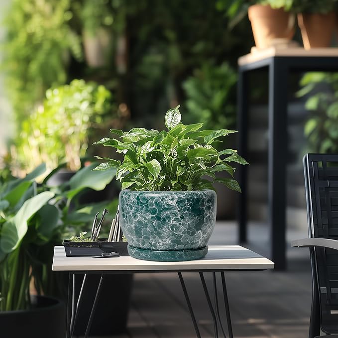 SQOWL 8 Inch Plant Pot - Image 5