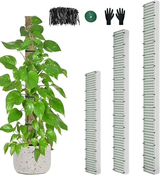 60"/40"/24" Metal Moss Pole, D Shape Sphagnum Moss Pole, Moss Poles by HOLANHING