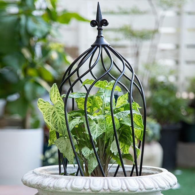 23-Inch Metal Obelisk Trellis for Climbing Plants | Sturdy Iron Design - Image 4