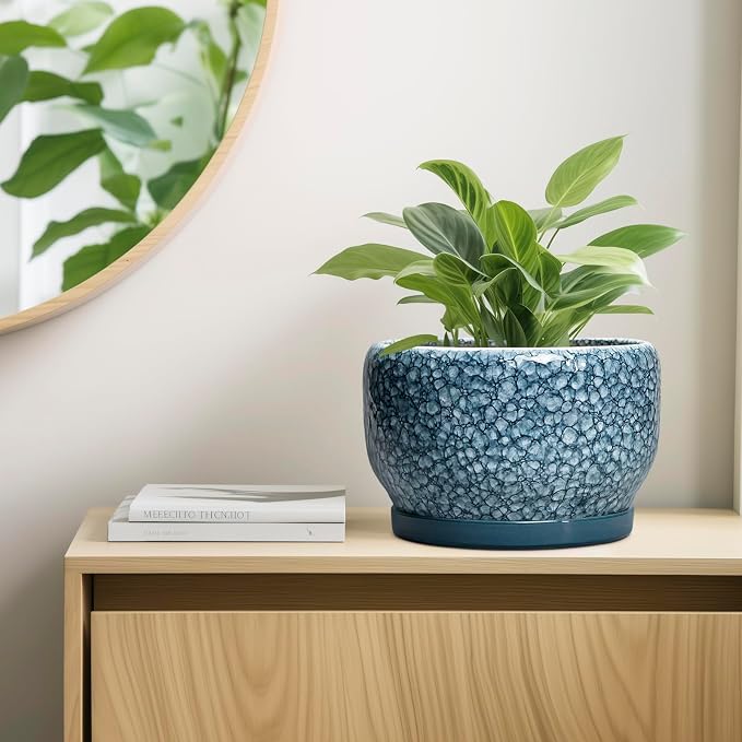SQOWL Ceramic Planter - Image 7
