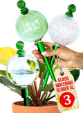 3pcs 16 Oz Plant Watering Globes by GARDENBRO