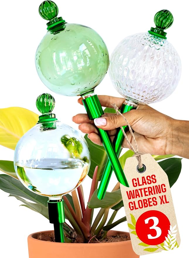 3pcs 16 Oz Plant Watering Globes by GARDENBRO