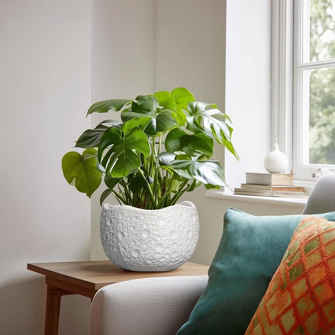 Ceramic Plant Pot - Image 3