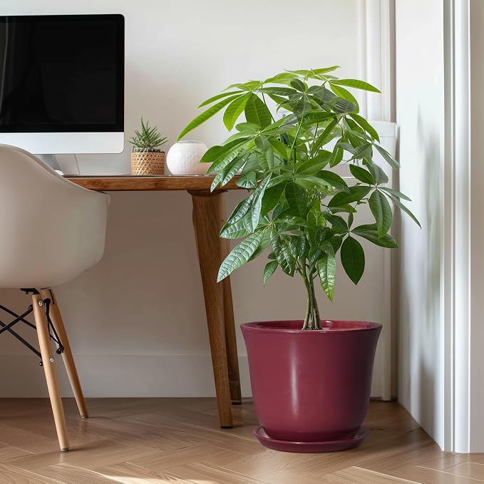 12 Inch Pots for Plants - Image 3