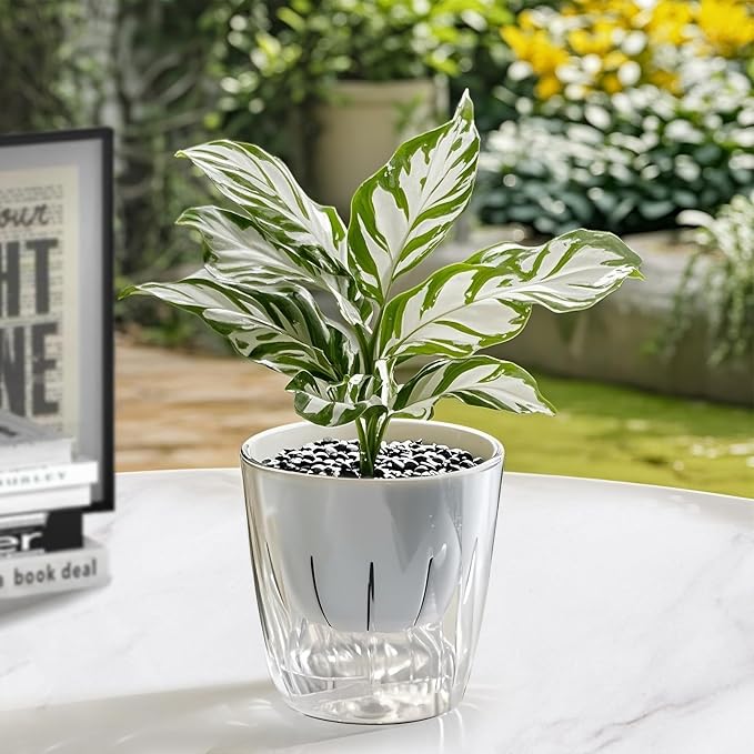 Self Watering Planters - Image 8