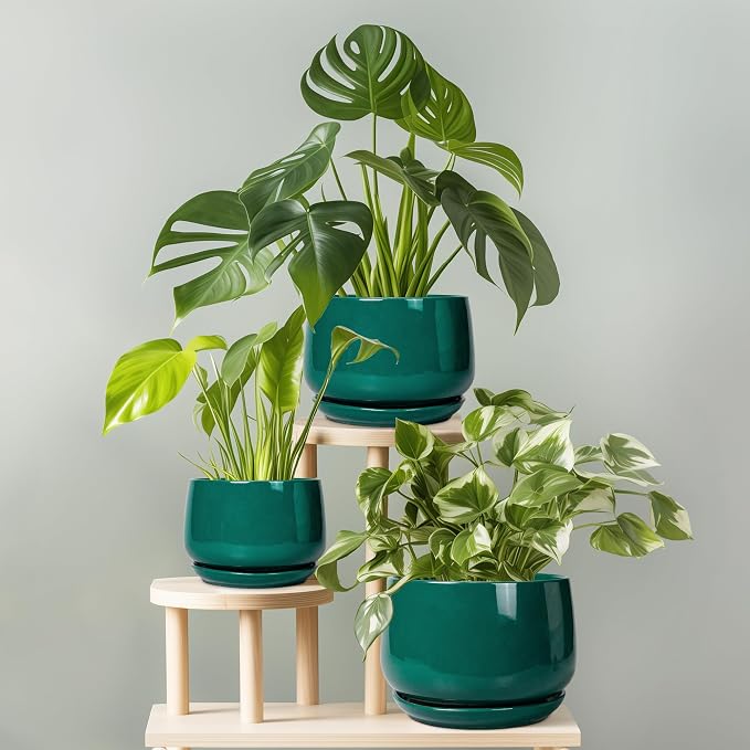 G EPGardening Ceramic Planter for Indoor Plants - Image 7
