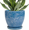 Ceramic Pots for Plants by EPFamily