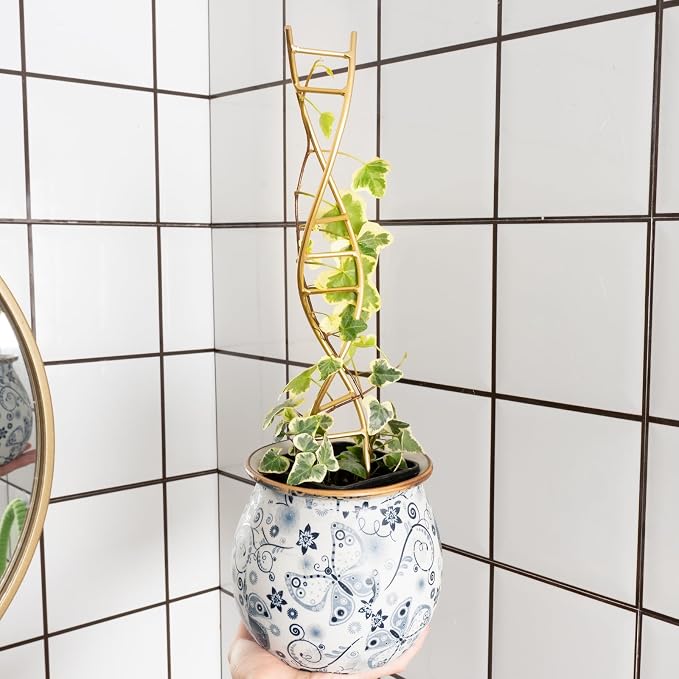Indoor Plant Trellis for Potted Plants - Image 7