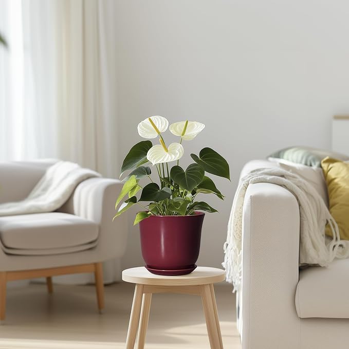Ceramic Pots for Plants - Image 7