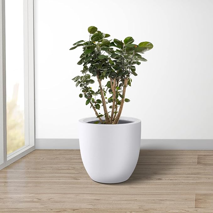 Kante 14 Inch Dia Round Concrete Planter, Indoor Outdoor Large Plant Pot - Image 10