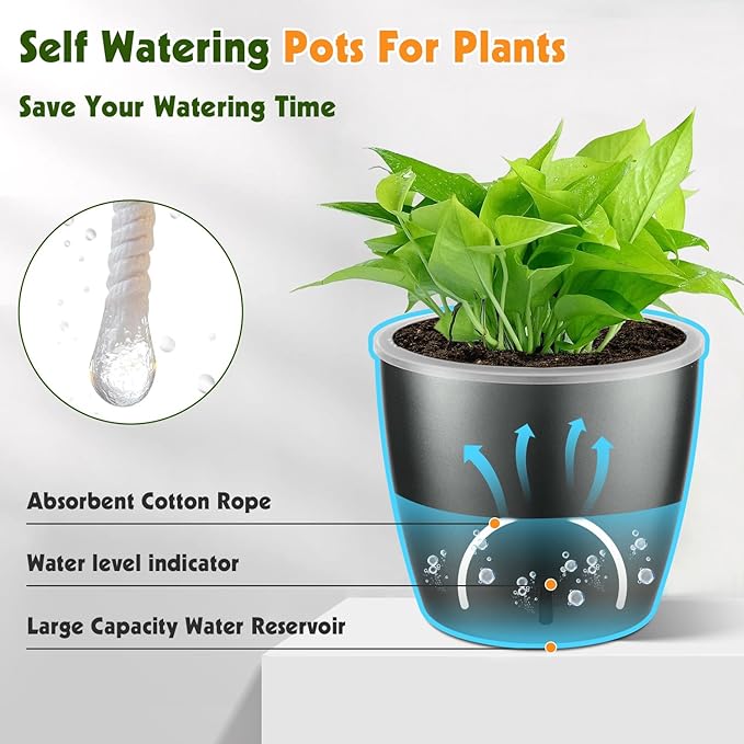 Self Watering Pots for Indoor Plants, Small African Violet Pots - Image 4