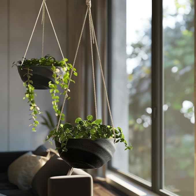 La Jolie Maison 10 Inch Hanging Planters - Image 5
