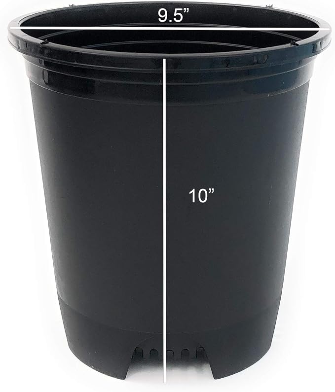 Wholesale Nursery Pot in Bulk 30-Pack 3 Gallon 9.5 Inch Black Plastic Planters - Image 2