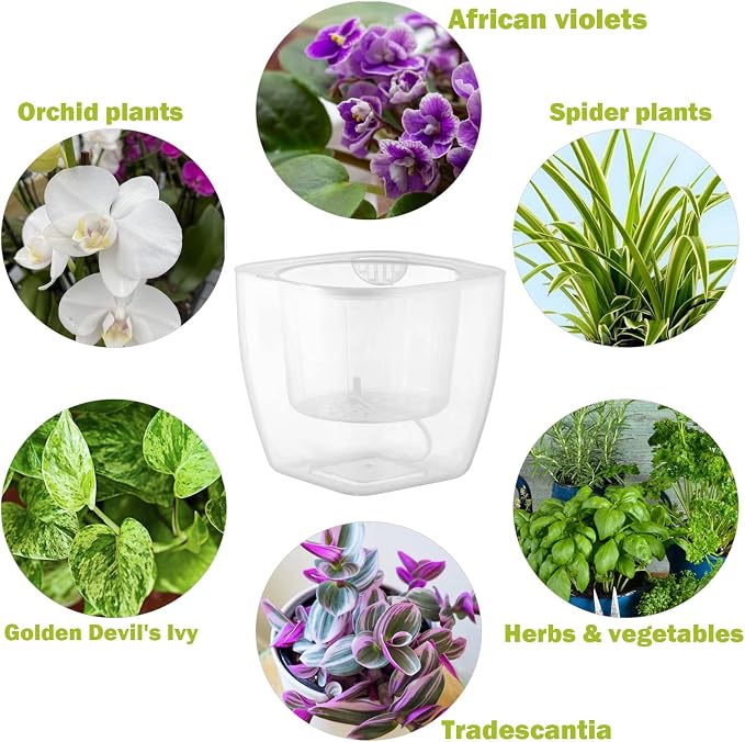 3-Pack Clear Self Watering Planters - Image 2