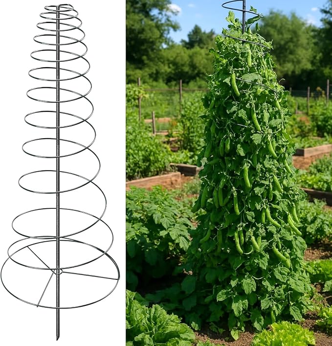 Spiral Frame Trellis for Climbing Plants Outdoor -72" Tall Heavy Duty Metal by Unknown
