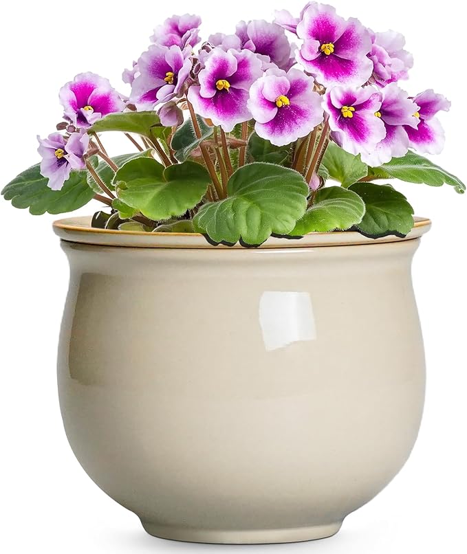 6 Inch Self Watering Pots for Indoor Plants, Ceramic African Violet Pots by Teagas
