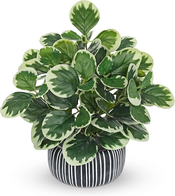 13" Artificial Plants Indoor Small Fake Plant in Ceramic Pot, Silk Plants by VillaComo