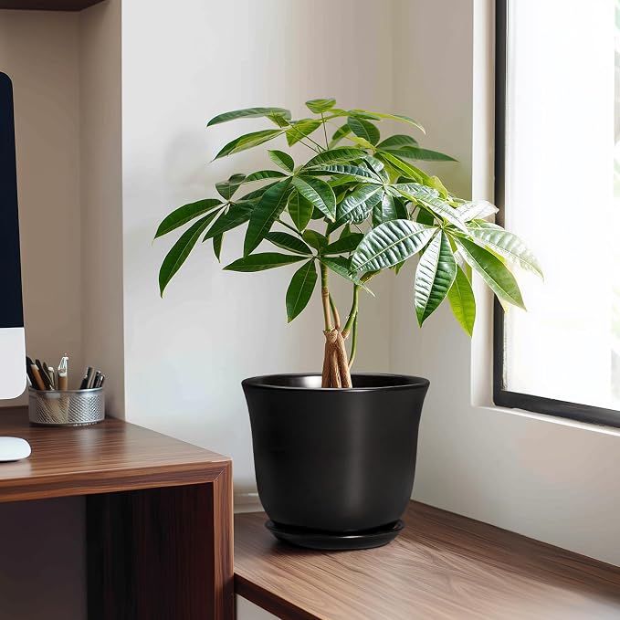 8 Inch Plant Pot - Image 3