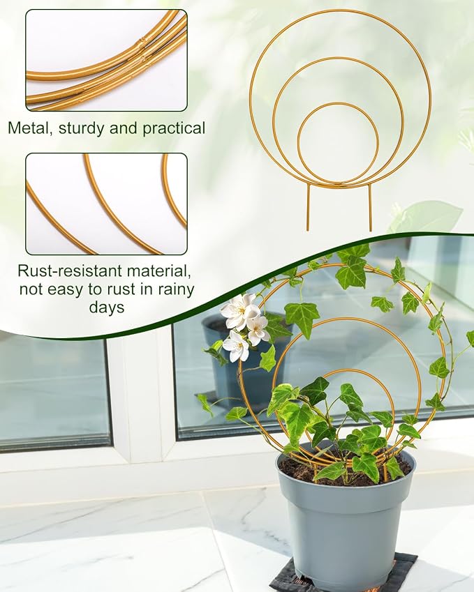 Unique Round Hoya Trellis, Garden Trellis Plant Support - Image 4
