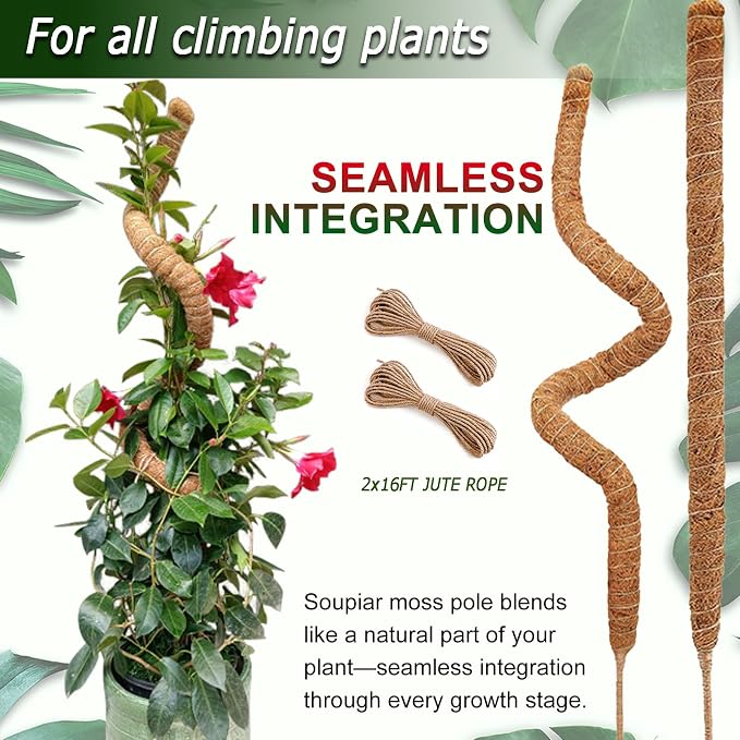 Soupiar 2 Pack 60'' Bendable Moss Pole - Image 5