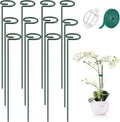 MAFONE 12 Pack 16inch Plant Support Stakes, Plant Stick Garden Single Stem by Unknown